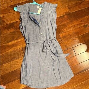 Old Navy Blue Ruffle Sleeve Dress